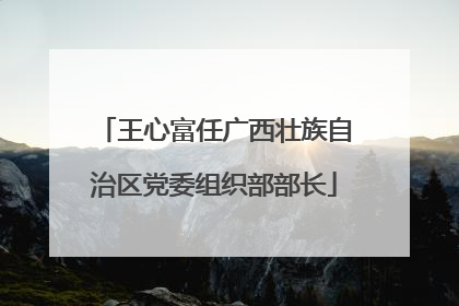 王心富任广西壮族自治区党委组织部部长