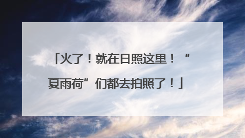 火了！就在日照这里！“夏雨荷”们都去拍照了！