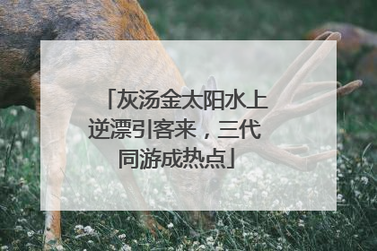 灰汤金太阳水上逆漂引客来，三代同游成热点