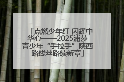点燃少年红 闪耀中华心——2025浦莎青少年“手拉手”陕西路线丝路续新章
