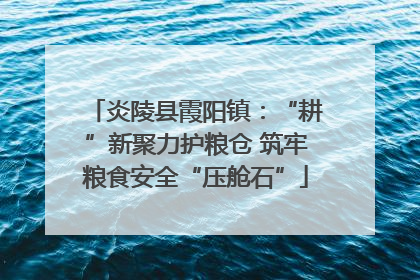 炎陵县霞阳镇：“耕”新聚力护粮仓 筑牢粮食安全“压舱石”