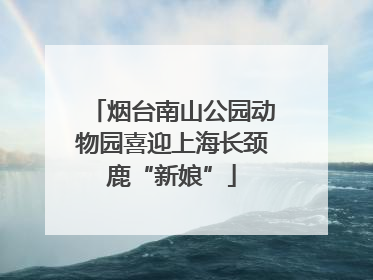 烟台南山公园动物园喜迎上海长颈鹿“新娘”