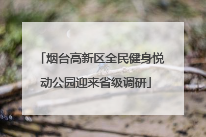 烟台高新区全民健身悦动公园迎来省级调研