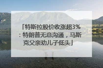 特斯拉股价收涨超3%：特朗普无意沟通，马斯克父亲劝儿子低头