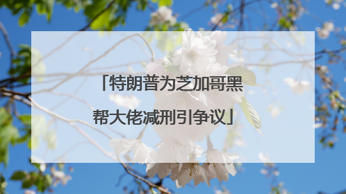 特朗普为芝加哥黑帮大佬减刑引争议