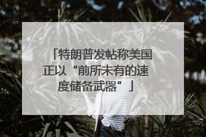 特朗普发帖称美国正以“前所未有的速度储备武器”