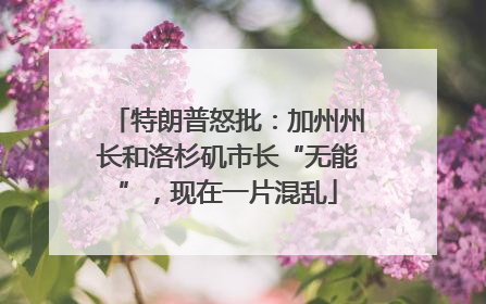 特朗普怒批：加州州长和洛杉矶市长“无能”，现在一片混乱