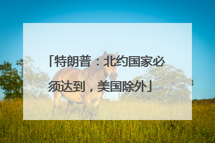 特朗普：北约国家必须达到，美国除外