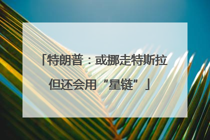 特朗普：或挪走特斯拉 但还会用“星链”