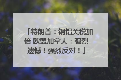 特朗普：钢铝关税加倍 欧盟加拿大：强烈遗憾！强烈反对！