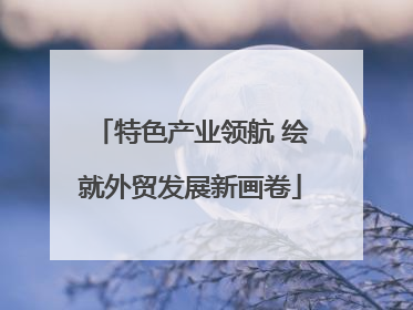 特色产业领航 绘就外贸发展新画卷