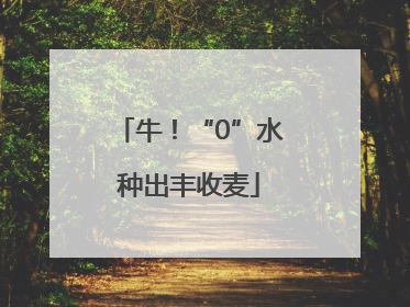 牛！“0”水种出丰收麦