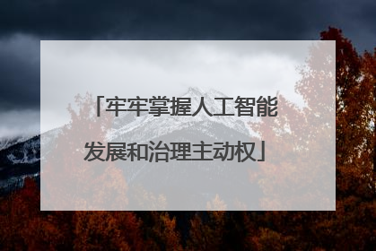 牢牢掌握人工智能发展和治理主动权