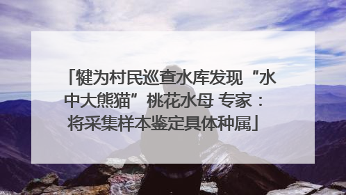 犍为村民巡查水库发现“水中大熊猫”桃花水母 专家：将采集样本鉴定具体种属