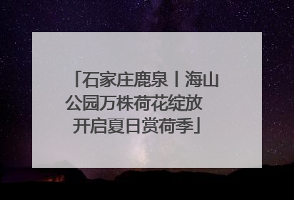 石家庄鹿泉丨海山公园万株荷花绽放 开启夏日赏荷季