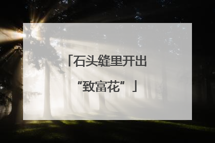 石头缝里开出“致富花”