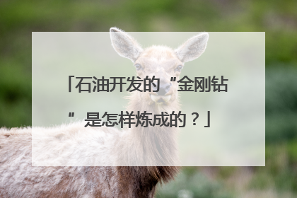石油开发的“金刚钻”是怎样炼成的？