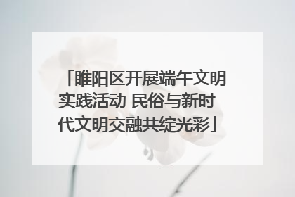 睢阳区开展端午文明实践活动 民俗与新时代文明交融共绽光彩