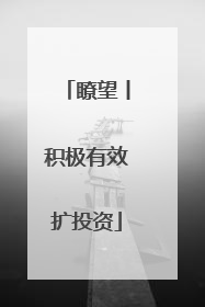 瞭望丨积极有效扩投资