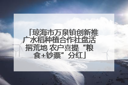 琼海市万泉镇创新推广水稻种植合作社盘活撂荒地 农户喜提“粮食+钞票”分红