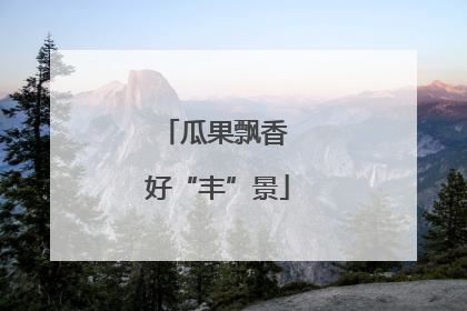 瓜果飘香 好“丰”景