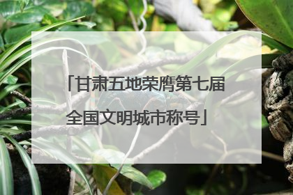 甘肃五地荣膺第七届全国文明城市称号