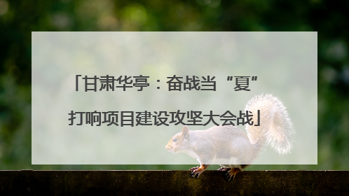 甘肃华亭：奋战当“夏” 打响项目建设攻坚大会战