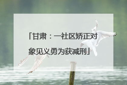 甘肃：一社区矫正对象见义勇为获减刑