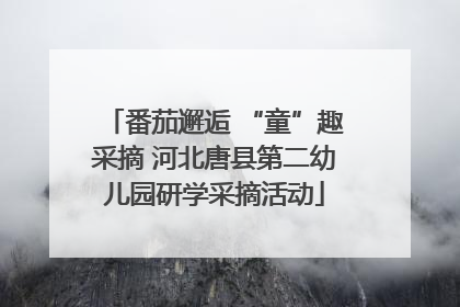 番茄邂逅 “童”趣采摘 河北唐县第二幼儿园研学采摘活动