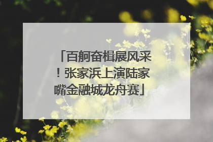 百舸奋楫展风采！张家浜上演陆家嘴金融城龙舟赛