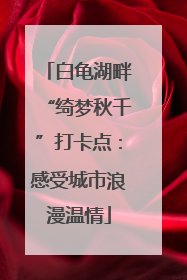 白龟湖畔“绮梦秋千”打卡点：感受城市浪漫温情
