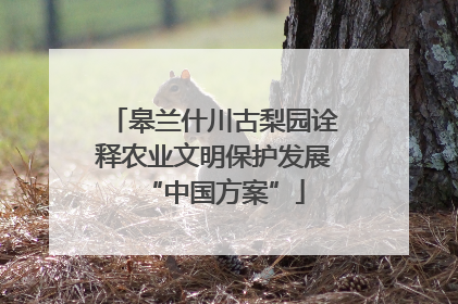 皋兰什川古梨园诠释农业文明保护发展“中国方案”