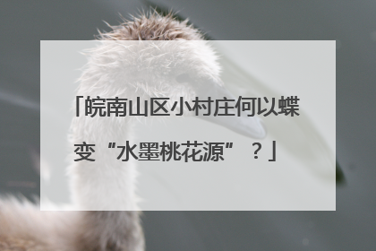 皖南山区小村庄何以蝶变“水墨桃花源”？