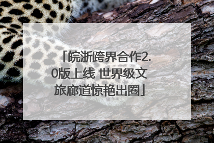 皖浙跨界合作2.0版上线 世界级文旅廊道惊艳出圈