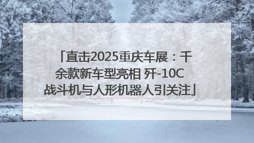 直击2025重庆车展：千余款新车型亮相 歼-10C战斗机与人形机器人引关注