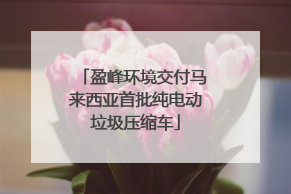 盈峰环境交付马来西亚首批纯电动垃圾压缩车