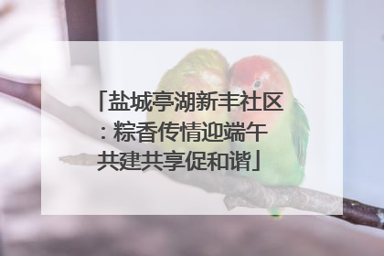 盐城亭湖新丰社区：粽香传情迎端午 共建共享促和谐