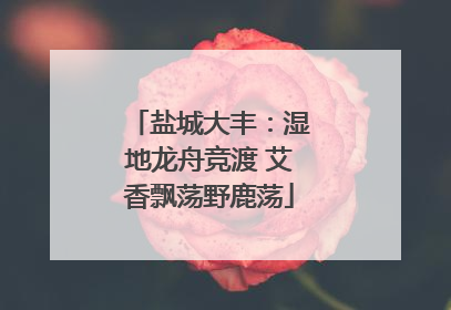 盐城大丰：湿地龙舟竞渡 艾香飘荡野鹿荡