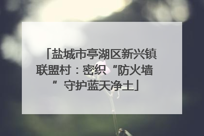 盐城市亭湖区新兴镇联盟村：密织“防火墙”守护蓝天净土