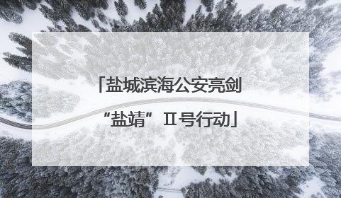 盐城滨海公安亮剑“盐靖”Ⅱ号行动