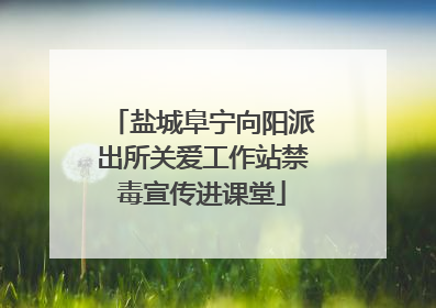 盐城阜宁向阳派出所关爱工作站禁毒宣传进课堂