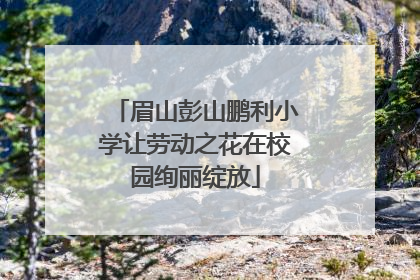 眉山彭山鹏利小学让劳动之花在校园绚丽绽放