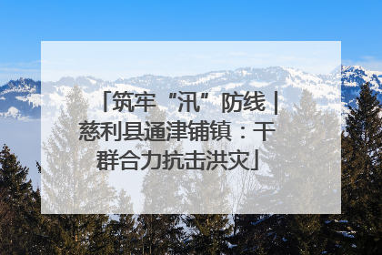 筑牢“汛”防线｜慈利县通津铺镇：干群合力抗击洪灾