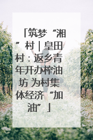 筑梦“湘”村｜皇田村：返乡青年开办榨油坊 为村集体经济“加油”