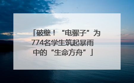 破壁！“电骡子”为774名学生筑起暴雨中的“生命方舟”