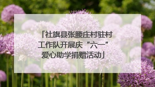 社旗县张腰庄村驻村工作队开展庆“六一”爱心助学捐赠活动