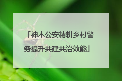 神木公安精耕乡村警务提升共建共治效能