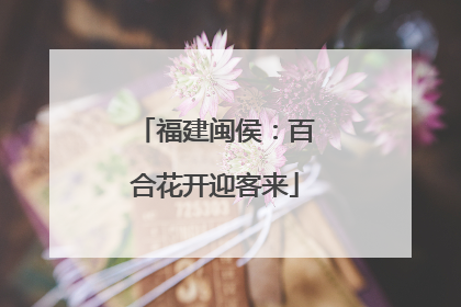 福建闽侯：百合花开迎客来