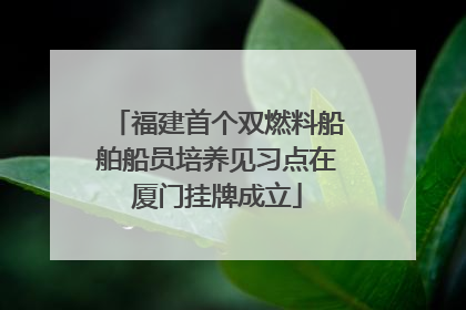 福建首个双燃料船舶船员培养见习点在厦门挂牌成立