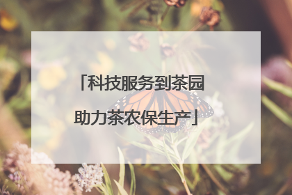 科技服务到茶园 助力茶农保生产